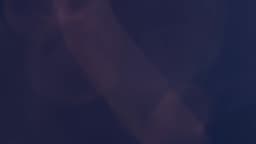 Brand Identity For Culture - thumbnail 8