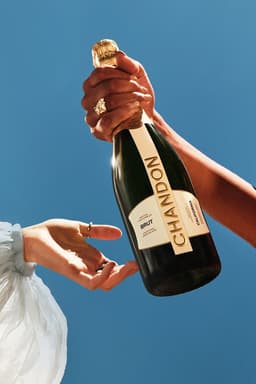Brand Worlds For Global Food And Beverage Icons - thumbnail 3