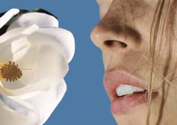 Brand Worlds For Global Beauty Brands - thumbnail 5