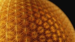 Key Visuals For Native Instruments Massive X - thumbnail 5