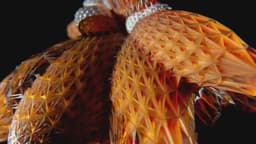 Key Visuals For Native Instruments Massive X - thumbnail 7