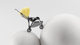 Visual Exploration For Bugaboo Strollers - thumbnail 7