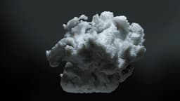 Visual Research On Natural Patterns For Digital Biology - thumbnail 2