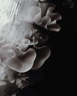 Visual Research On Natural Patterns For Digital Biology - thumbnail 3