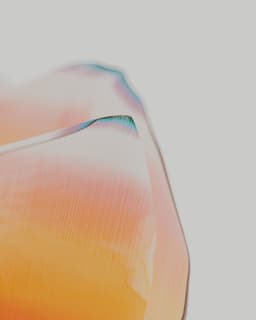 Visual Research On Natural Patterns For Digital Biology - thumbnail 5
