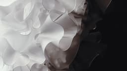 Visual Research On Natural Patterns For Digital Biology - thumbnail 8