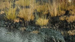 Environmental Visualization For Space10 Climate Stressors - thumbnail 3