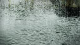 Environmental Visualization For Space10 Climate Stressors - thumbnail 4