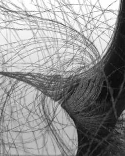 Digital Exploration Of Felt Material For Media.work - thumbnail 5