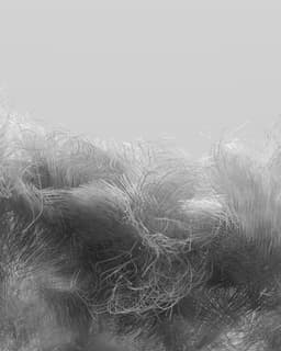 Digital Exploration Of Felt Material For Media.work - thumbnail 7