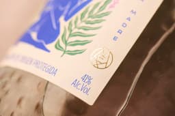 Brand Identity And Packaging For Querida Raicilla - thumbnail 9
