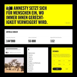A Digital Engagement Strategy For A Human Rights Organization - thumbnail 2