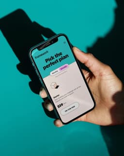 Brand Identity For Framework's Learning Platform - thumbnail 5