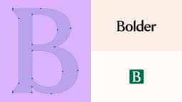Brand Identity And Website For Bolder Money - thumbnail 4