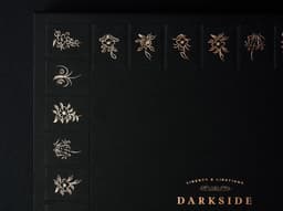 Menu Design For Rosewood Dark Side Bar - thumbnail 9