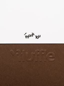 Brand Identity For Fluffle Pet Accessories - thumbnail 7
