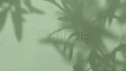 Brand Identity And Website Design For Flor & Fjære - thumbnail 2