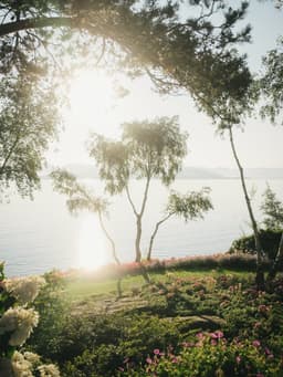 Brand Identity And Website Design For Flor & Fjære - thumbnail 3