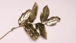 E-commerce Website Design For Gold Apple - thumbnail 4