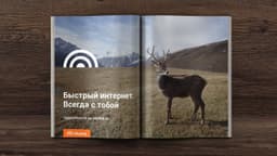 Brand Identity And Digital Platform For Skylink Internet Service - thumbnail 5