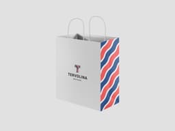 Brand Identity Redesign For Tervolina Footwear Retailer - thumbnail 2