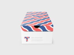 Brand Identity Redesign For Tervolina Footwear Retailer - thumbnail 7