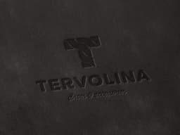 Brand Identity Redesign For Tervolina Footwear Retailer - thumbnail 8