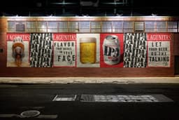 Brand System And Campaign For Lagunitas Brewing Company - thumbnail 8