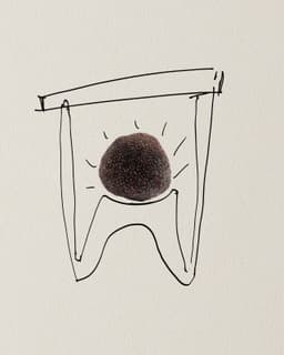 Packaging Concept For A Gourmet Truffle Brand  - thumbnail 6