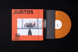 Packaging For A Limited-edition Vinyl Record  - thumbnail 2
