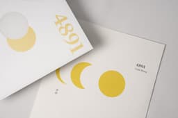 Packaging Design For A Hong Kong Singer-songwriter’s Vinyl Release  - thumbnail 5