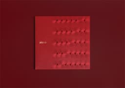 Packaging Design For A Corporate Chinese New Year Red Packet Collection  - thumbnail 6