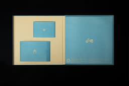 Packaging For A Hong Kong Singer-songwriter’s Vinyl Record - thumbnail 5