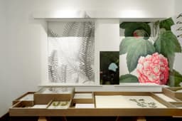 Exhibition Identity For An Environmental Education Centre  - thumbnail 6