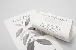 Poster Design For Square One Coffee Taxonomy - thumbnail 2