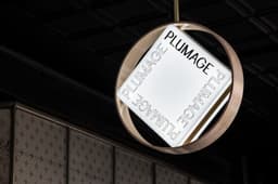 Brand Identity For Plumage Salon - thumbnail 2