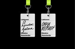 Adaptive Identity For Lithuanian Design Association - thumbnail 7