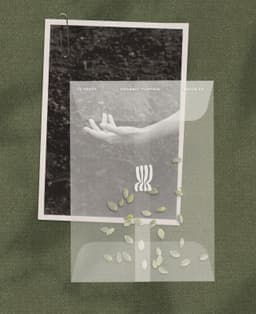 Brand Identity For La Sève Regenerative Farm - thumbnail 7