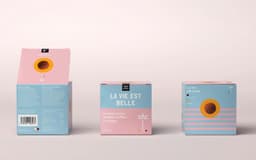 Packaging Design For Lapp & Fao - thumbnail 3