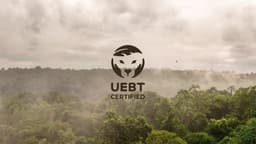 Certification Identity For Uebt - thumbnail 3
