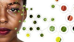 Commemorative Brand Identity For Natura’s 50th Anniversary - thumbnail 2