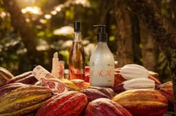 Brand Identity For Natura Ekos Cacau - thumbnail 2
