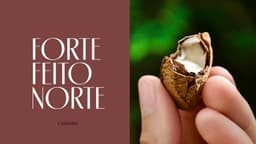 Custom Typeface For Natura Ekos - thumbnail 2