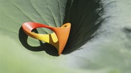 Brand Identity For Rio 2016 Paralympic Games - thumbnail 9