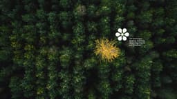 Brand Identity For Tátil Design's 30th Anniversary - thumbnail 7