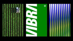 Brand Identity For Vibra’s Post-petrobras Independence - thumbnail 2