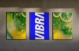 Brand Identity For Vibra’s Post-petrobras Independence - thumbnail 4
