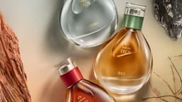Newsletter Communications For Tátil October Trends - thumbnail 7