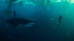 Vfx Production For Netflix Film Under Paris - thumbnail 3