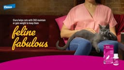 Global Advertising Campaign For Elura - thumbnail 3